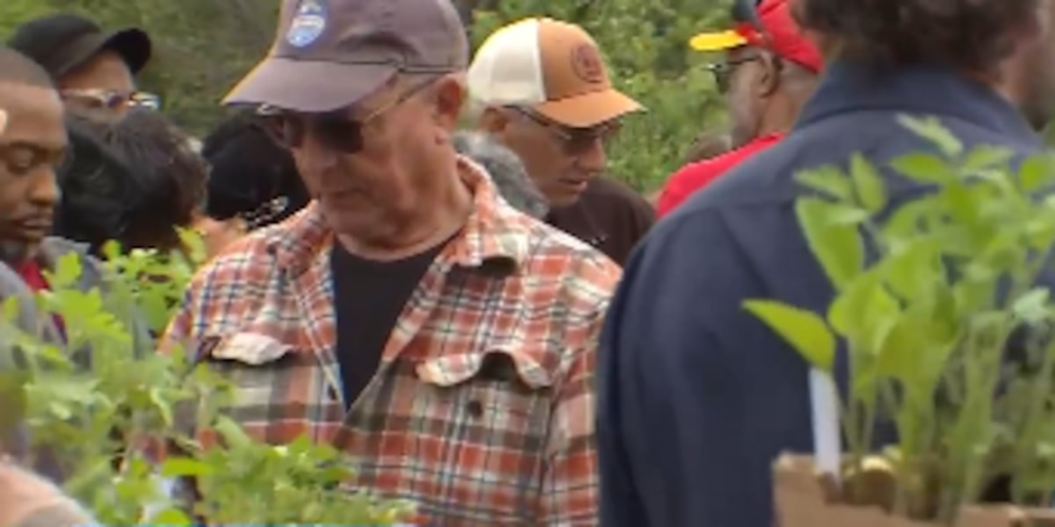 Kansas City Community Gardens kicks off annual Tomato Days sale