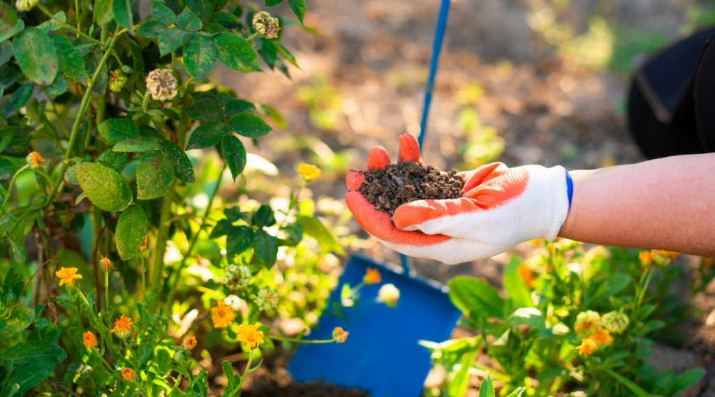 New Season of SDSU Extension Garden Hour Starts May 5 New Season of SDSU Extension Garden Hour Starts May 5