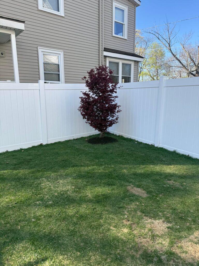 New Tree Watering