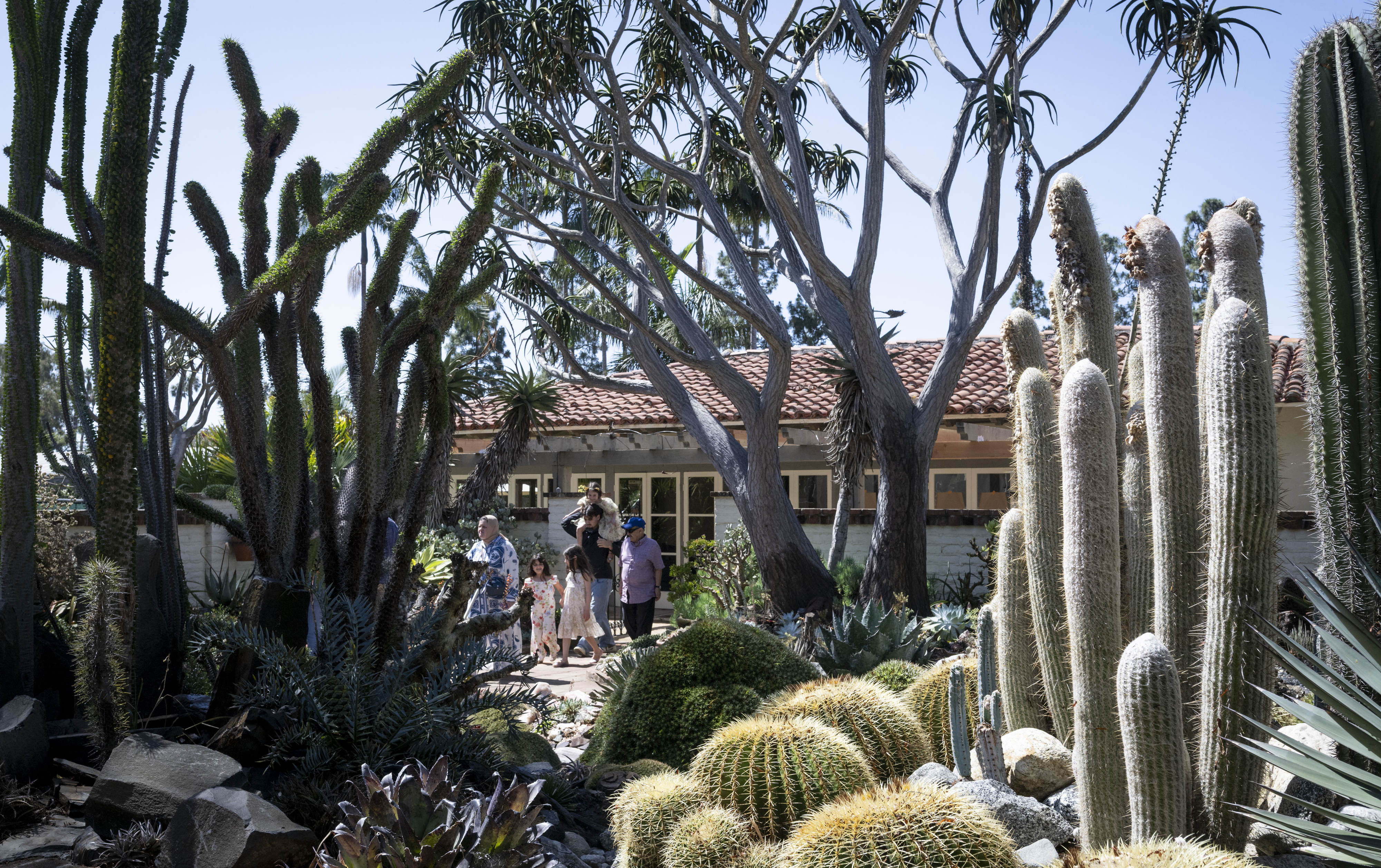 During renovation, visitors walk through the gardens in an open...