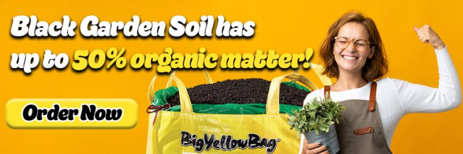 <who>BigYellowBag
