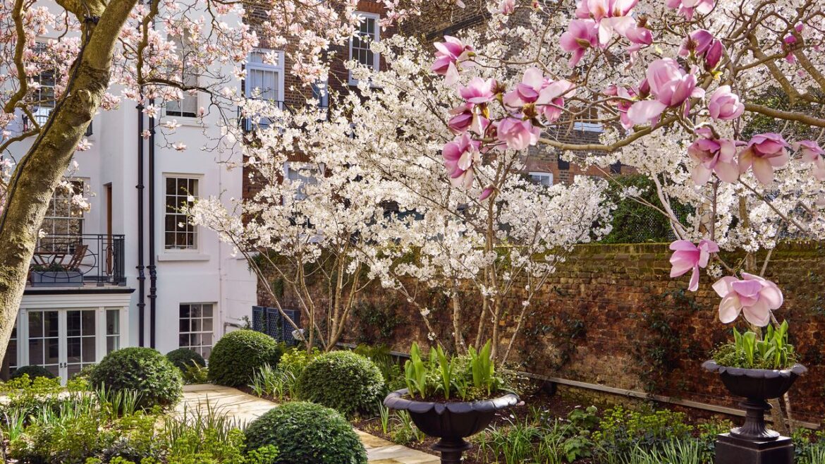 A secret London garden that bursts into life each spring