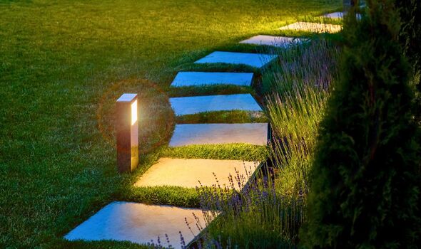 Picture of a lit up garden at night Picture of a lit up garden at night