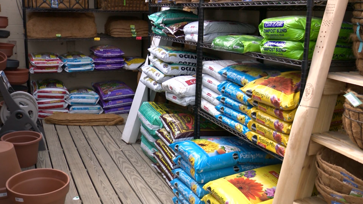 Local gardening costs up due to inflation, but savings are possible