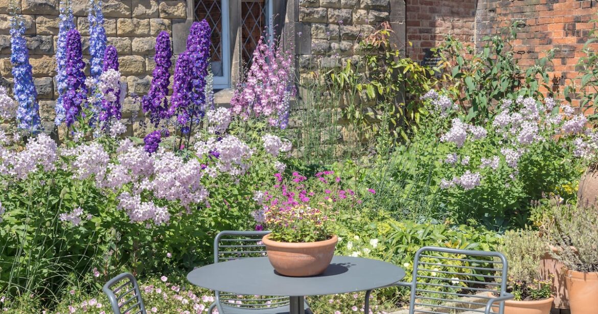 How to create a cottage garden in a small space – The Irish News How to create a cottage garden in a small space – The Irish News