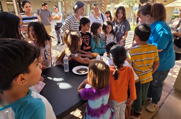 Samples of sand, silt and clay were provided to STEAM Kids participants so they could see the different sizes of soil particles. (Julie Gallant)