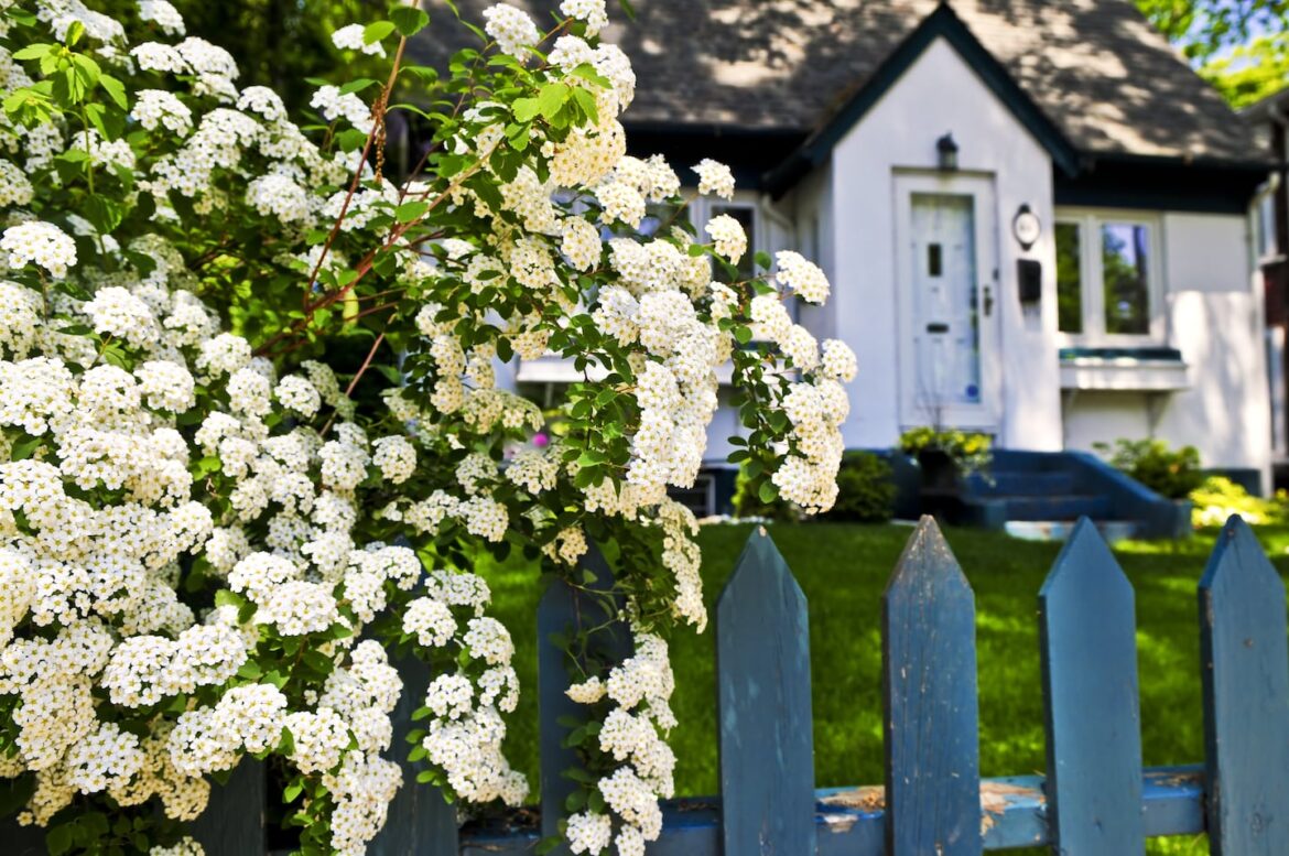 Tree and shrub placement is important when assessing a new house.