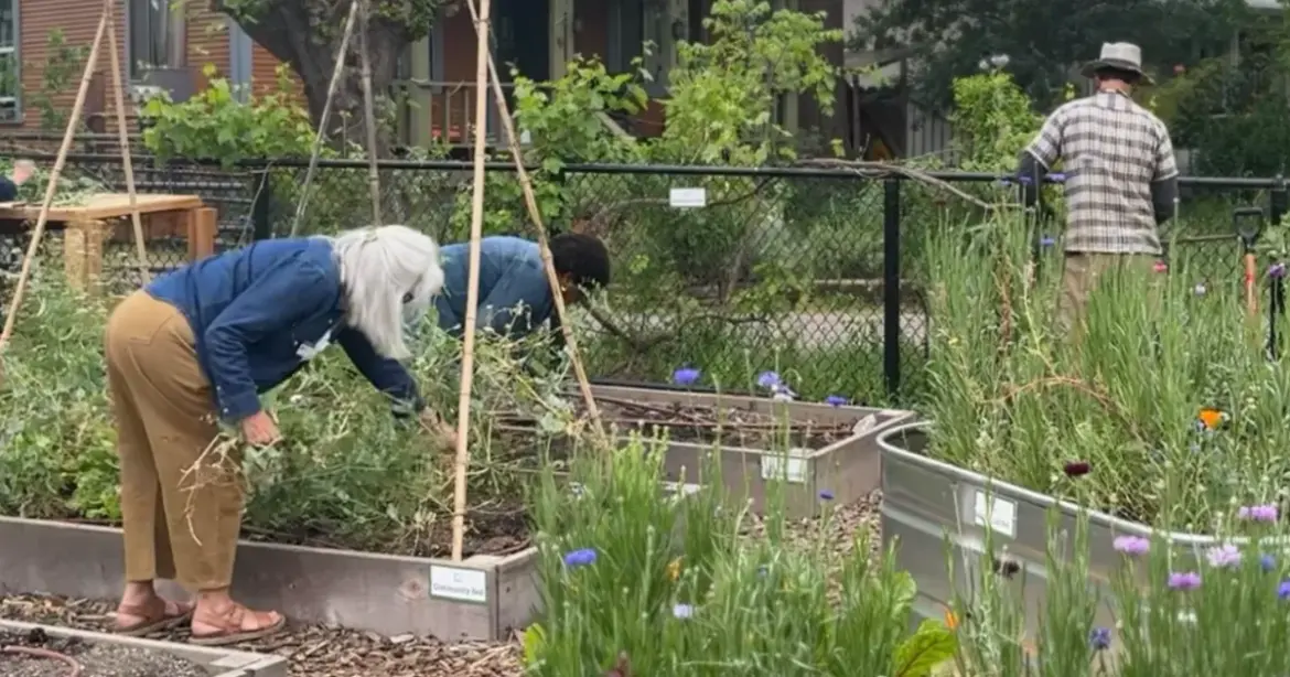 Volunteers Reimagined Garden Education in Butte County. Now It Reaches Thousands.