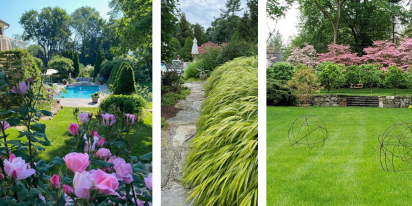 Cultivating with Kerri: Prospect Gardens Cultivating with Kerri: Prospect Gardens