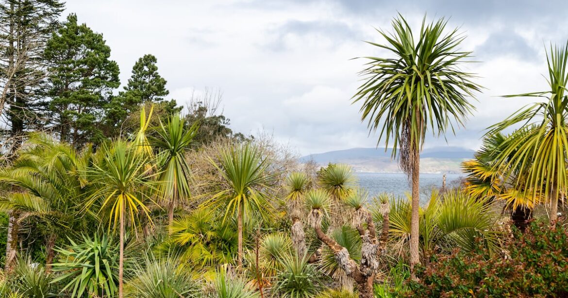The best plants for Irish seaside gardens – The Irish Times