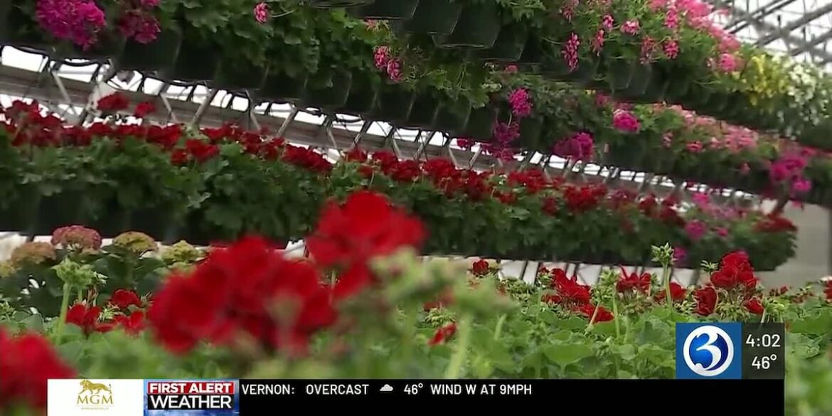 Freeze warning has farmers keeping plants indoors Freeze warning has farmers keeping plants indoors