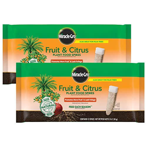 Miracle-Gro Fruit &amp; Citrus Plant Food Spikes - 10-15-15 Npk Easy-To-Use Nutrition for Fruit and Citrus Trees, Plant Fertilizer, 12 Spikes, 3 Lb. (2-Pack)