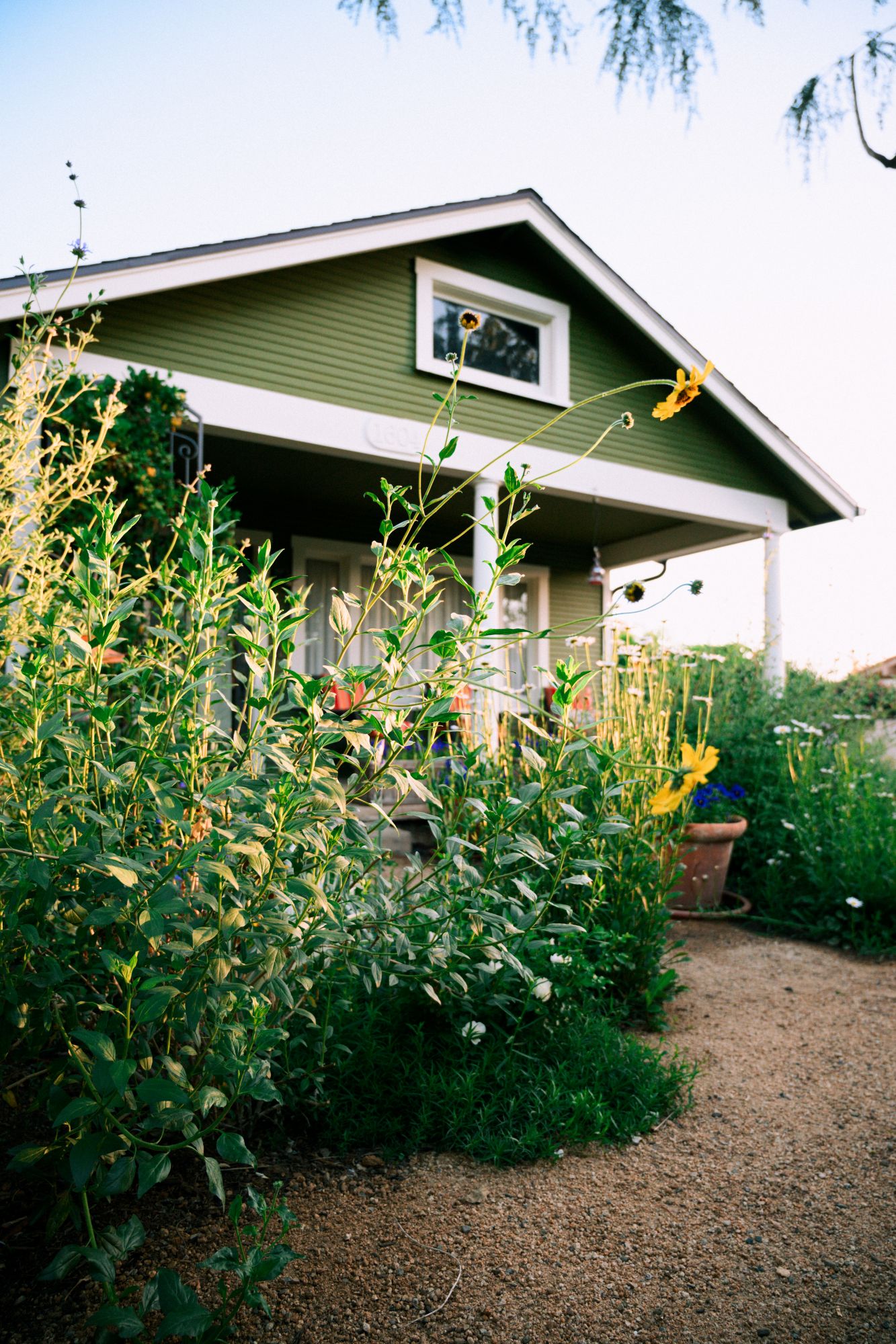 This garden, created around a 1928 house that was surrounded...