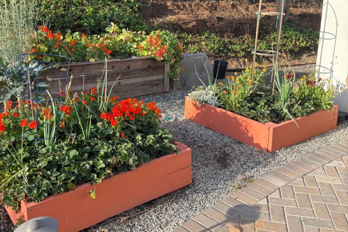 From the Kitchen Garden: April, Spring Planting Begins From the Kitchen Garden: April, Spring Planting Begins