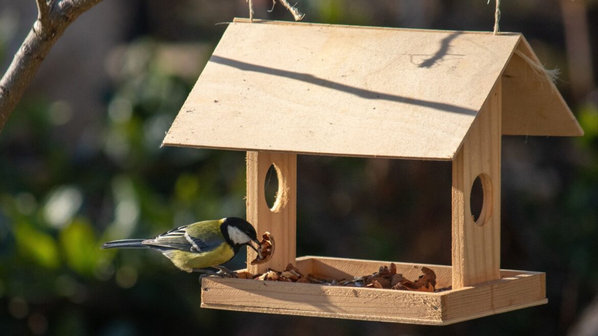 ALDI’s Bird Feeders Are a Whimsical Addition to Your Yard Bird perching on wooden house-shaped bird feeder