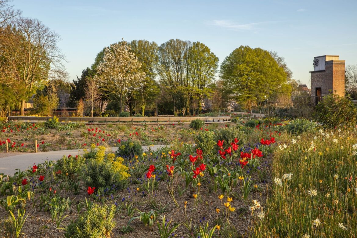 Queen Elizabeth II Garden in Regent’s Park: A living memorial of nature, craft and continuity Queen Elizabeth II Garden in Regent’s Park: A living memorial of nature, craft and continuity