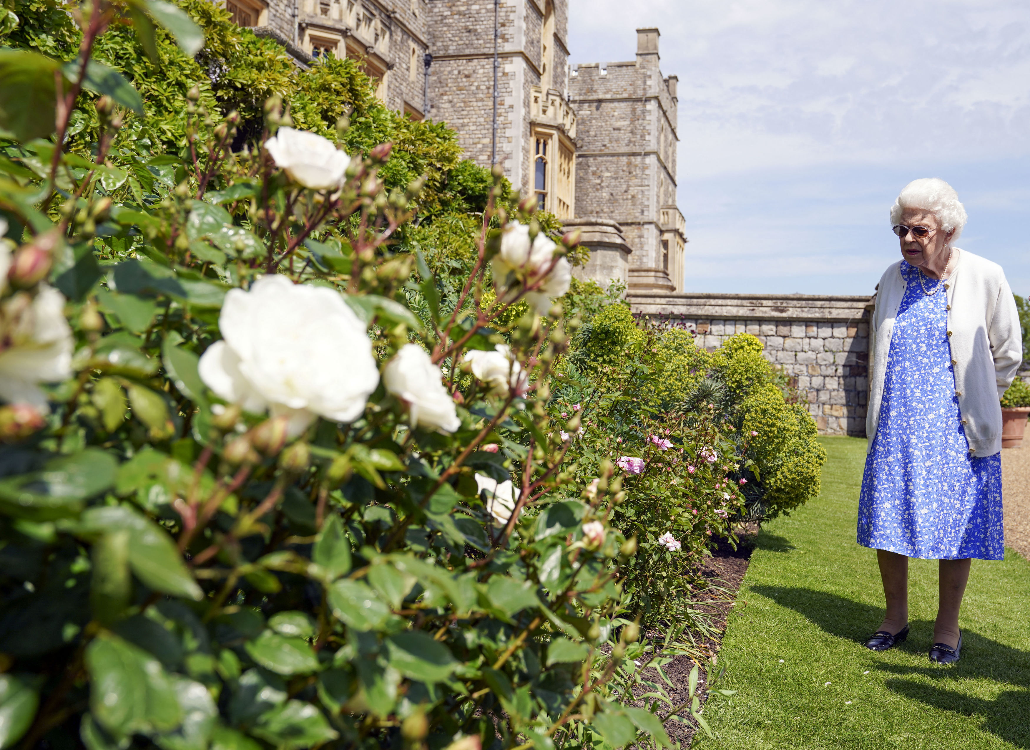 TOPSHOT - Britain&amp;apos;s Queen Elizabeth II views a flower bed in the grounds of Windsor Castle, after she was presented with a Duke of Edinburgh rose, named in memory of her late husband Prince Philip, the Duke of Edinburgh, by the President of the Royal Horticultural Society, Keith Weed (unseen), at Windsor Castle in Windsor, west of London, on June 2, 2021. The newly bred deep pink commemorative rose from Harkness Roses has officially been named in memory of the Duke of Edinburgh. A royalty from the sale of each rose will go to The Duke of Edinburgh&amp;apos;s Award Living Legacy Fund which will give more young people the opportunity to take part in the Duke of Edinburgh Award. (Photo by Steve Parsons / POOL / AFP) (Photo by STEVE PARSONS/POOL/AFP via Getty Images)