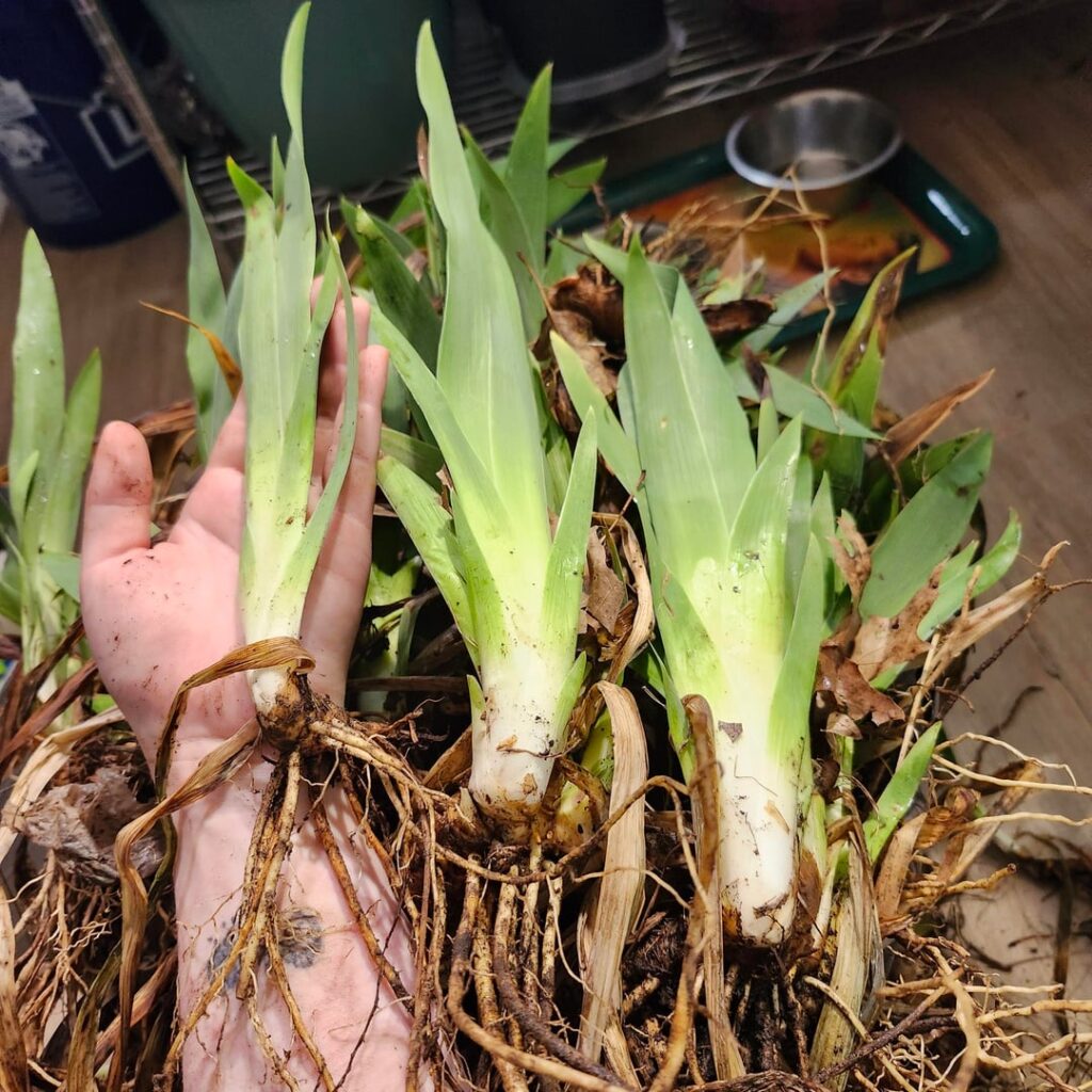 Roadside pile id in pa
