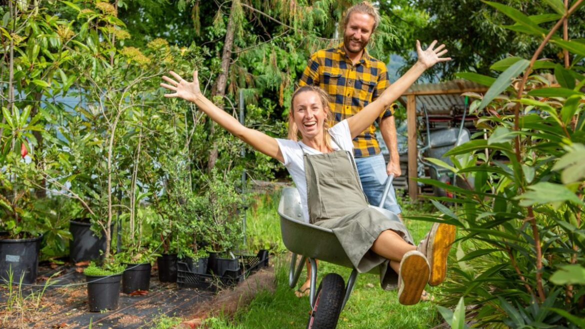 Get your garden ready for summer with these 10 simple steps Get your garden ready for summer with these 10 simple steps
