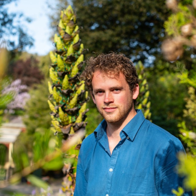 David Pearce. // King Charles' former kitchen gardener has revealed the monarch's least favourite vegetable. David Pearce worked for The King in his kitchen garden - cultivating plants for him to eat. And he revealed that famously green-fingered Charles took a keen interest in the fruits and vegetables that landed on his plate - but a couple were off limits. ???I spent about a year working for His Royal Highness in the kitchen garden, growing fruit and vegetables and wonderful things that went into his dinners and lunches,??? David explained. Photo released 22/04/2026