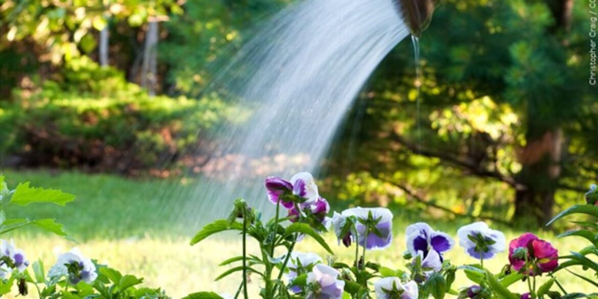 Gardening can offer health benefits, experts say Gardening can offer health benefits, experts say