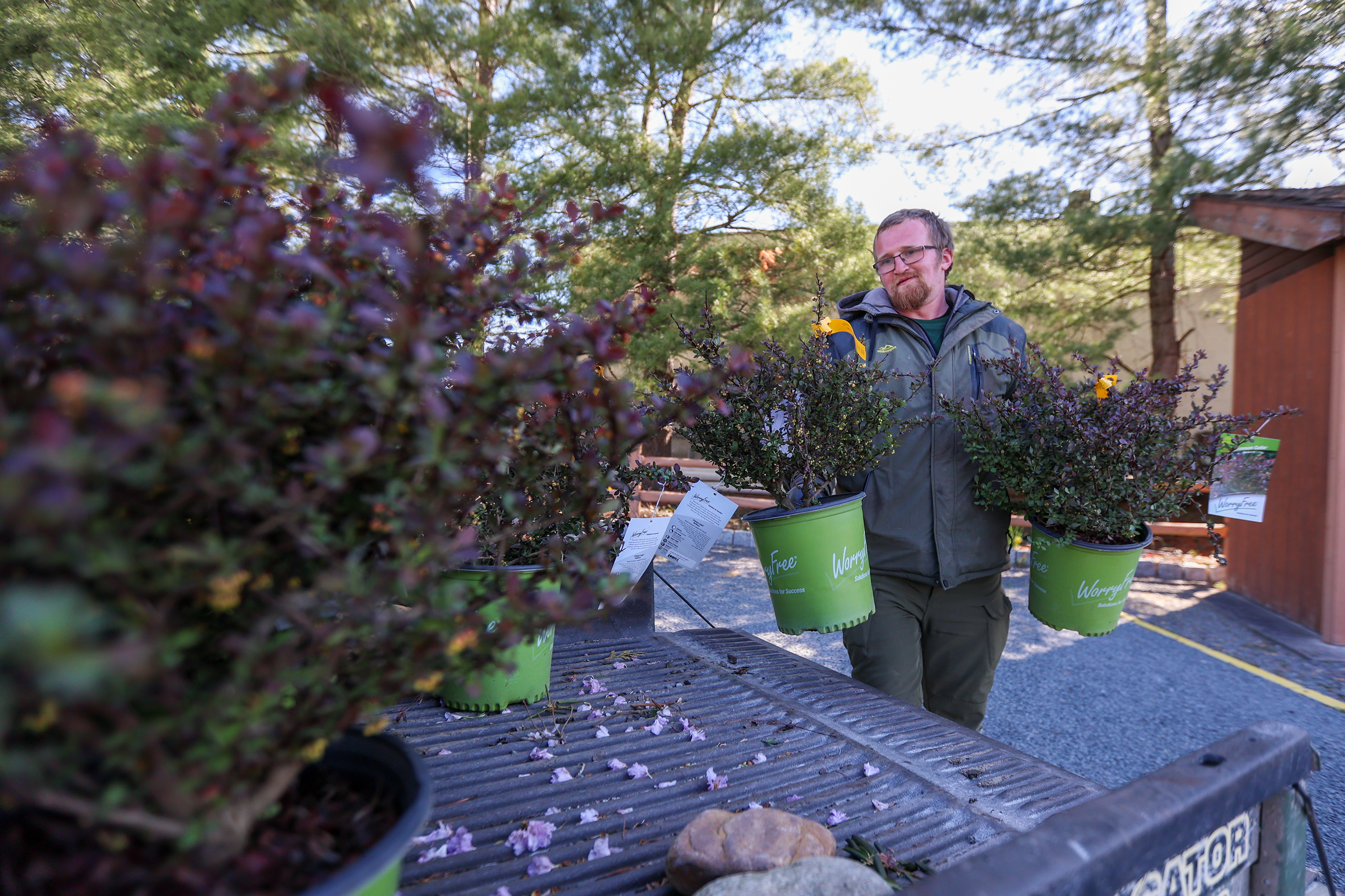Robert Care Jr. transports flowers at Edward’s Garden Center in...