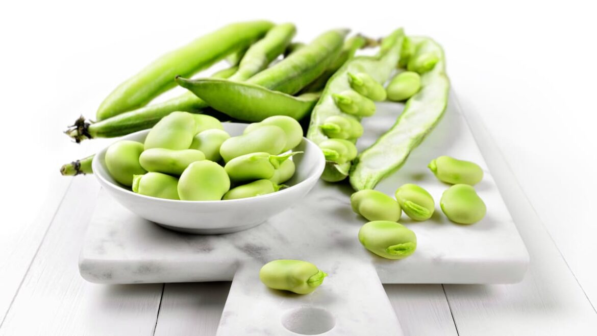 Kem Ormond’s vegetable garden: Broad beans - how to grow, support and harvest