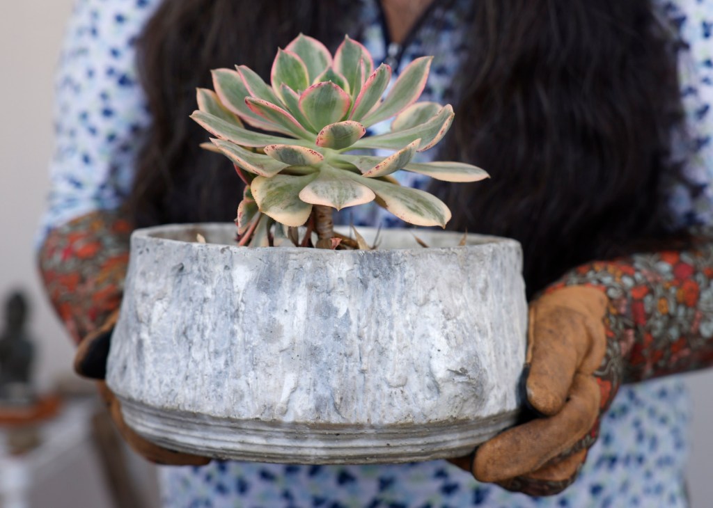 Creating pots of ‘garden gold’ – San Diego Union-Tribune Creating pots of ‘garden gold’ – San Diego Union-Tribune