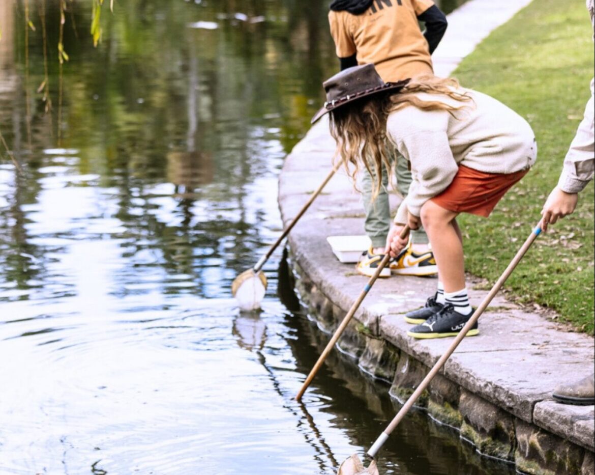 Visitor numbers in full bloom for Sydney Botanic Gardens Visitor numbers in full bloom for Sydney Botanic Gardens