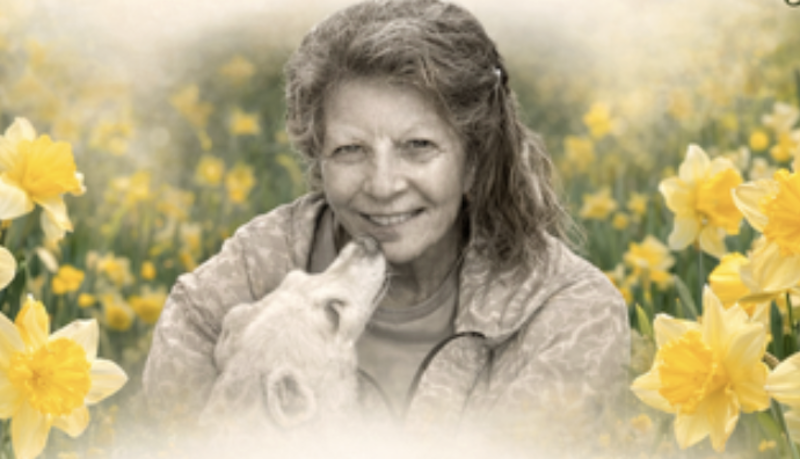 Town & Country Garden Club to honor Deb Lambert with Daffodil Day celebration Town & Country Garden Club to honor Deb Lambert with Daffodil Day celebration
