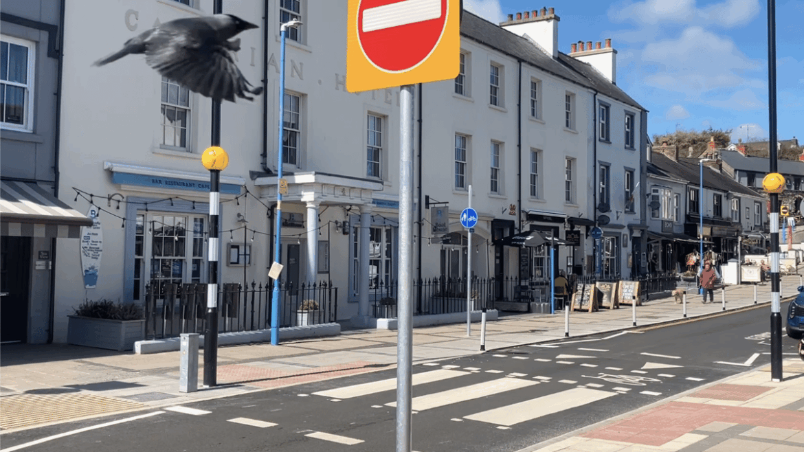 Saundersfoot beer garden licence approved Saundersfoot beer garden licence approved