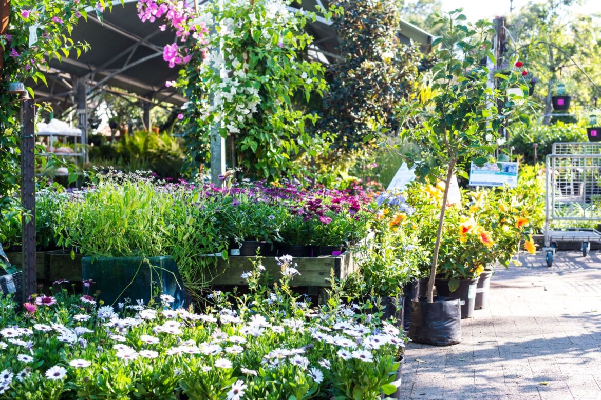 7 best locally owned garden centres in and around Edmonton | Daily Hive dh logo