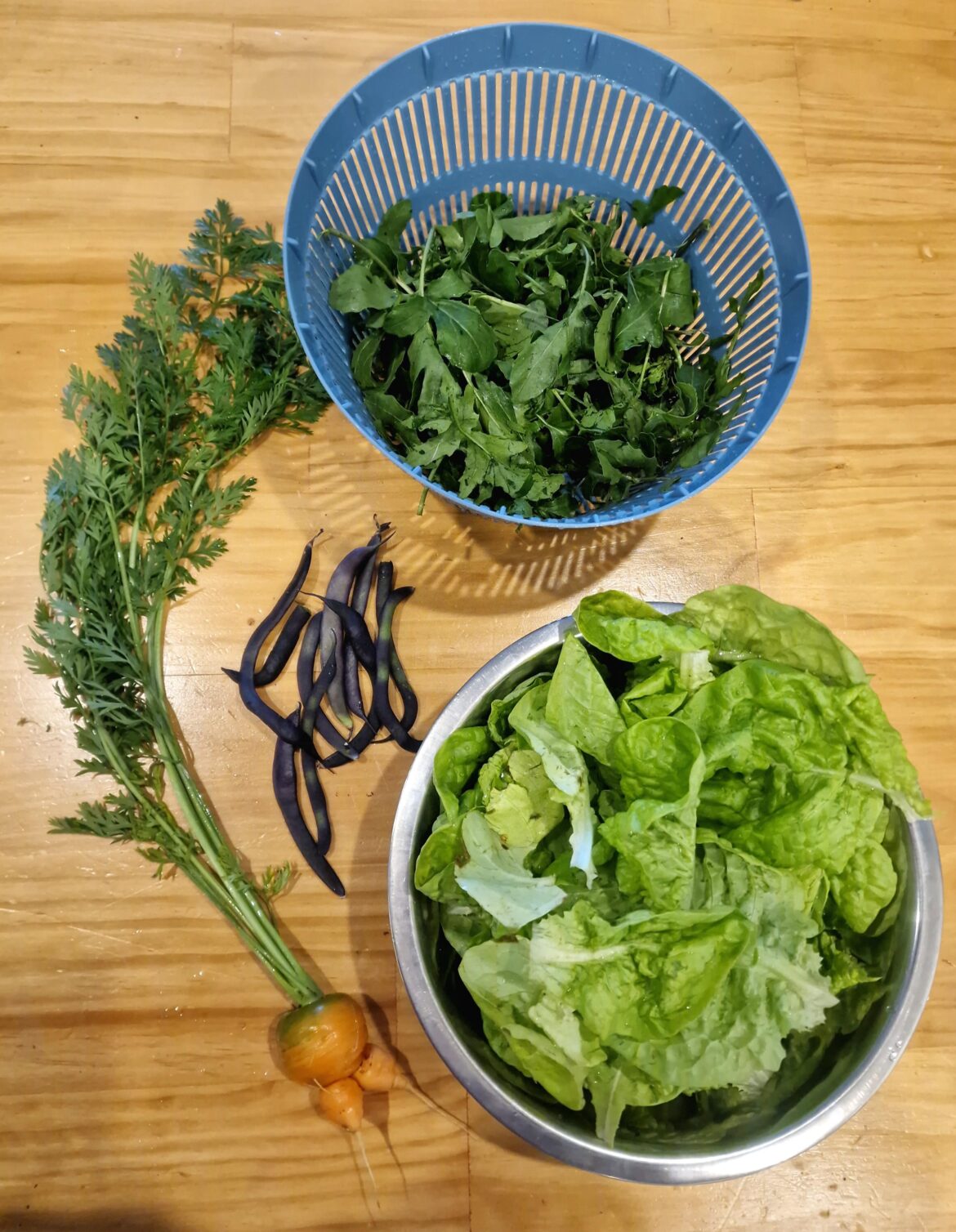 Started my first ever garden in December, first harvest is in Started my first ever garden in December, first harvest is in