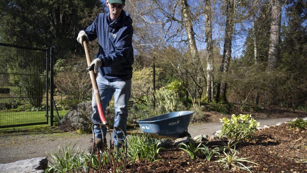 What mulch is right for your Western WA garden this spring?