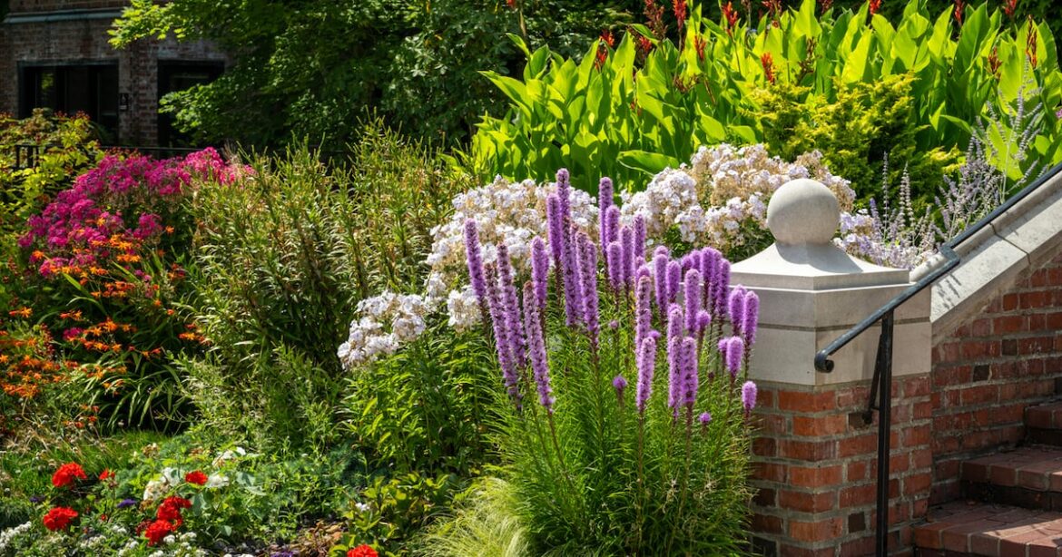 Shrubs and trees perfect for small gardens that don’t compromise on colour or impact – The Irish Times Shrubs and trees perfect for small gardens that don’t compromise on colour or impact – The Irish Times