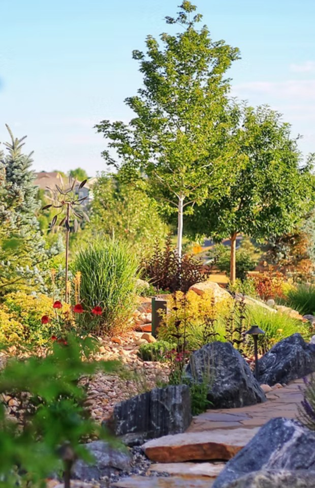 ColoradoScaping can provide vibrant bursts of color that some homeowners may not associate with low-water landscaping. (Provided by Abby Rupsa)