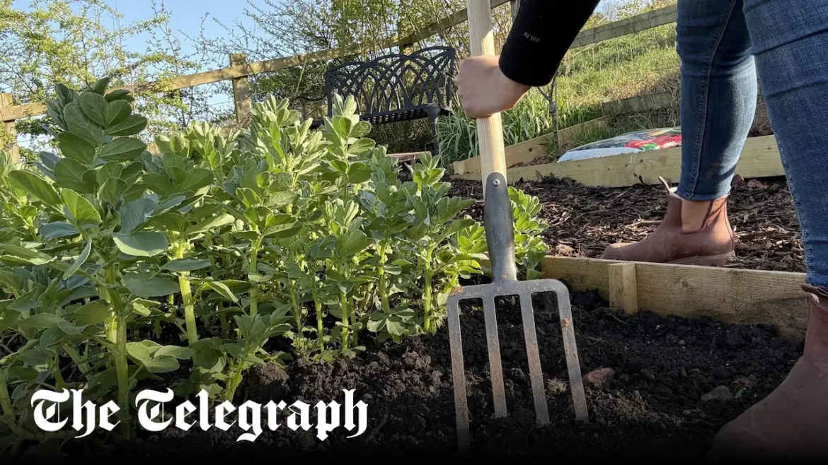 Best garden forks