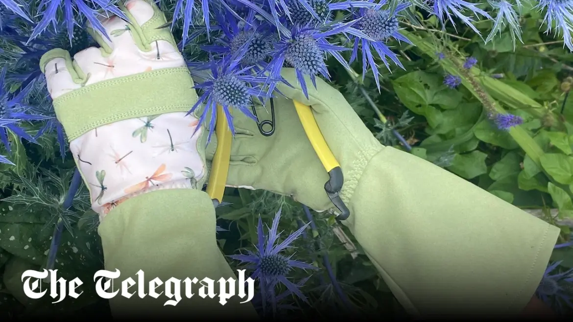 The best gardening gloves including thermal styles for colder months, tried and tested The best gardening gloves including thermal styles for colder months, tried and tested