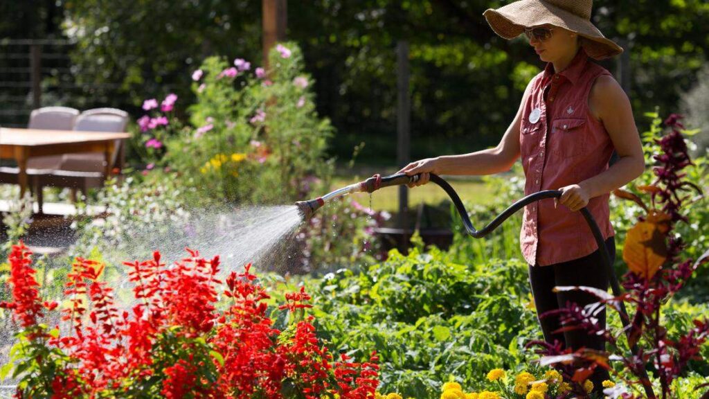 How to become a Master Gardener in CA? Rules and fees How to become a Master Gardener in CA? Rules and fees