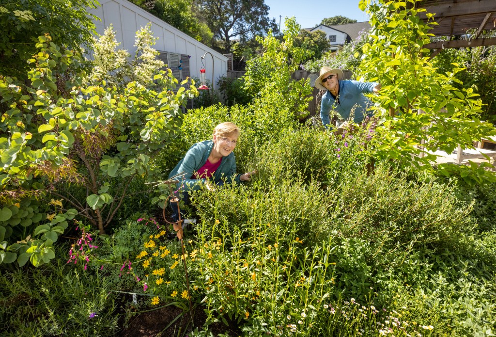 North Bay’s annual garden tour designed to inspire North Bay's annual garden tour designed to inspire