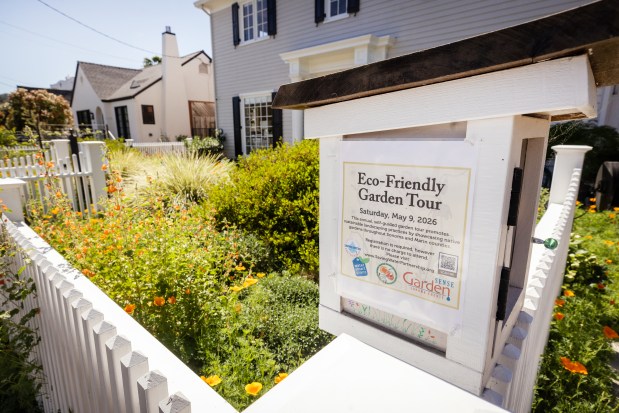 Pick up seeds from last year's plants in Kim Nielsen-Glynn's little seed library in front of her Petaluma home. The water-wise garden is part of the Sonoma County Water Authority's Eco-Friendly Garden Tour on May 9th, 2026. Photo taken Wednesday, April 8, 2026 in Petaluma. (John Burgess/The Press Democrat)
