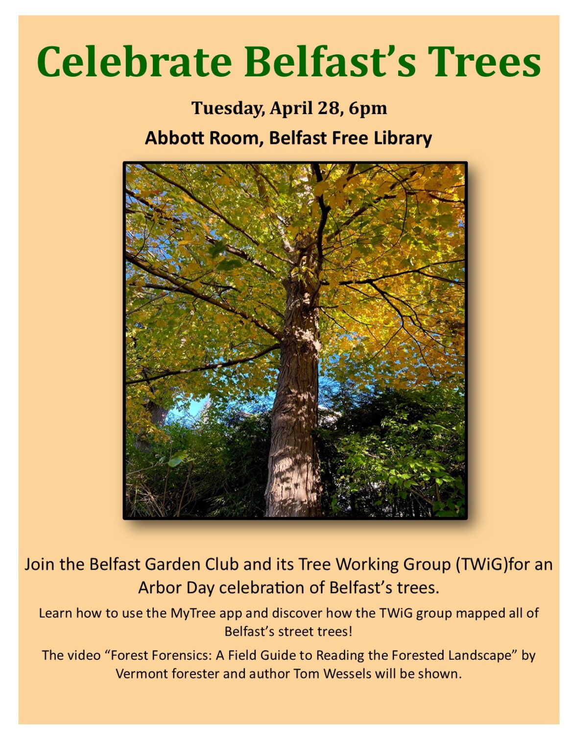 Belfast Garden Club celebrates Arbor Day