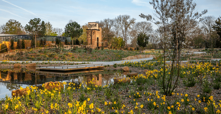 Former brownfield site transforms into biodiverse Queen Elizabeth II Garden Former brownfield site transforms into biodiverse Queen Elizabeth II Garden