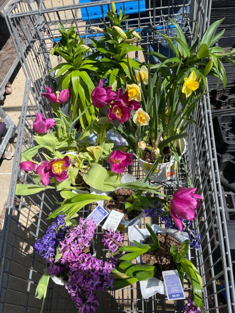 They were on clearance…