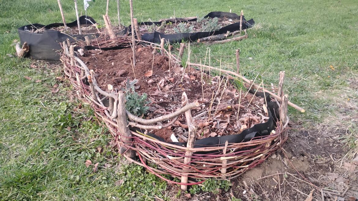 Today I woke up and decided to weave a wicker garden bed.