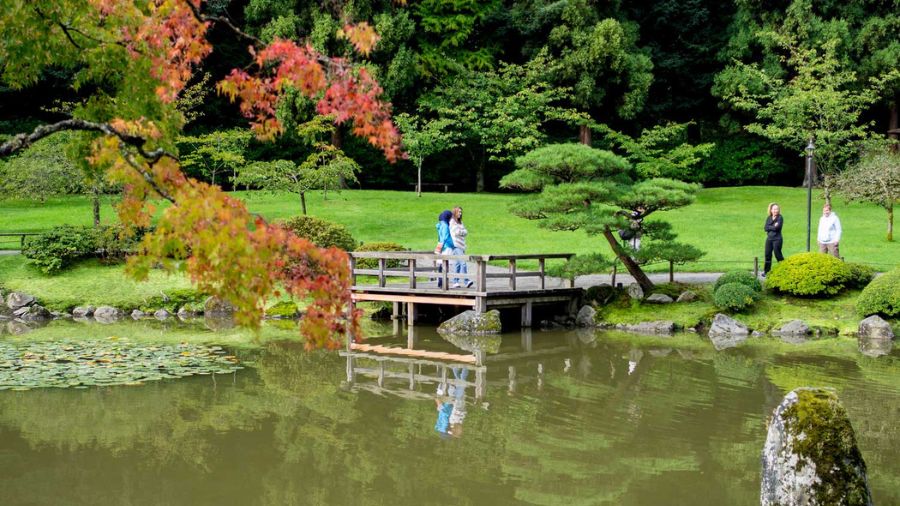 Seattle Japanese Garden to temporarily close this summer for $2.8M restoration Seattle japanese garden close...
