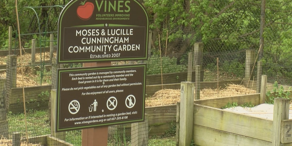 VINES to expand community gardens with DEC funds