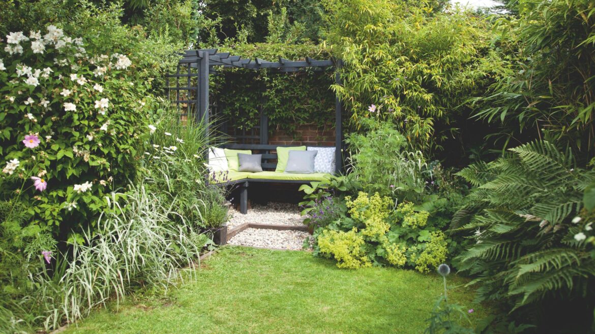 Best low-maintenance evergreen shrubs for year-round privacy Best low-maintenance evergreen shrubs for year-round privacy