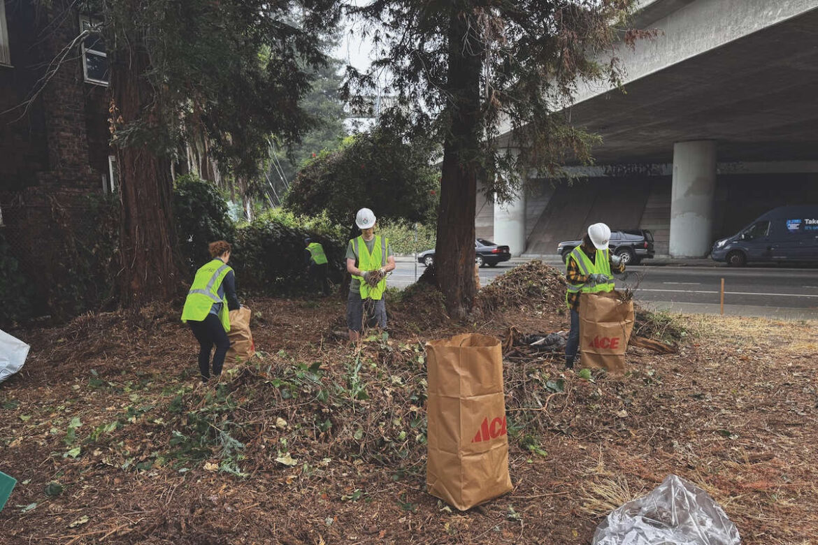 Temescal garden grows roots and resistance on Caltrans land Temescal garden grows roots and resistance on Caltrans land