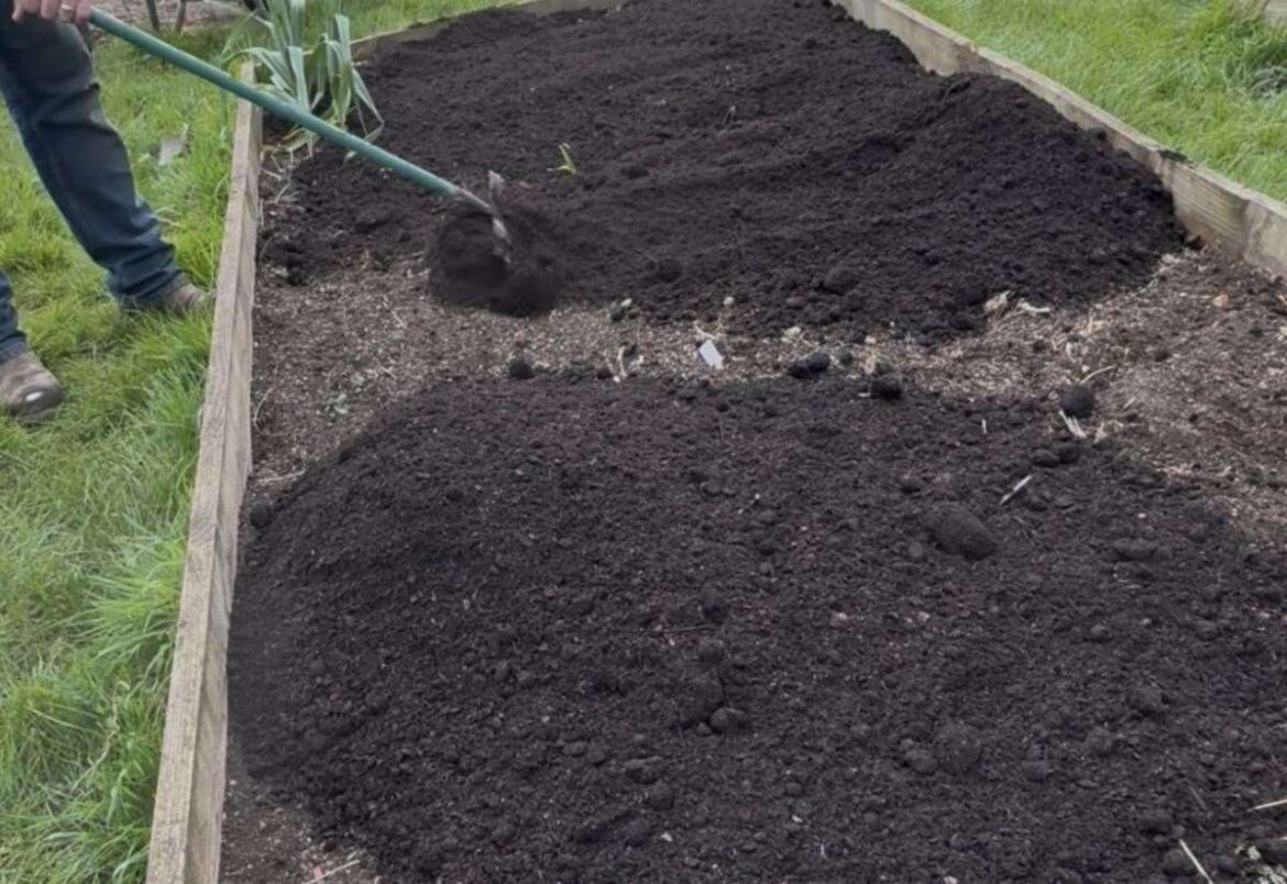 Getting excited about compost, Gayton gardener Jamie Marsh is pleased to see an avalanche of ‘black gold’ Getting excited about compost, Gayton gardener Jamie Marsh is pleased to see an avalanche of ‘black gold’